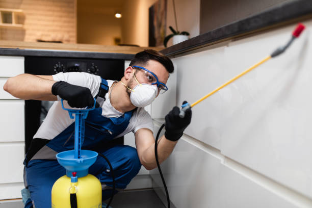 Best Mosquito Control Services  in Crystal City, MO
