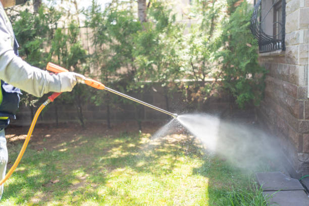 Best Best Pest Control Companies  in Crystal City, MO