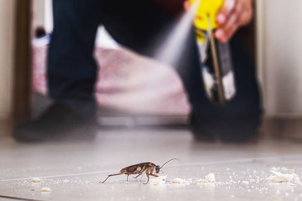 Best Pest Control Near Me  in Crystal City, MO