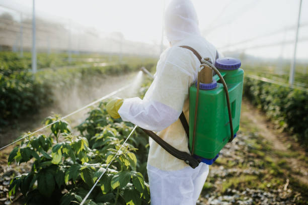 Pest Control Cost in Crystal City, MO